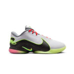 lebron xxii "crown jewel"