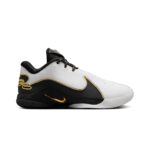 lebron xxii “mogul”