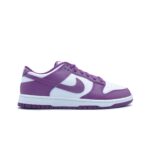 dunk low "viotech"