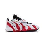 lebron xxi "the world is your oyster" (Копировать)